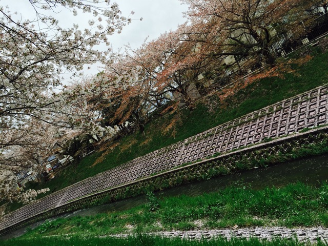 f:id:WARPchange:20150417161311j:plain f:id:WARPchange:20150417161311j:plain