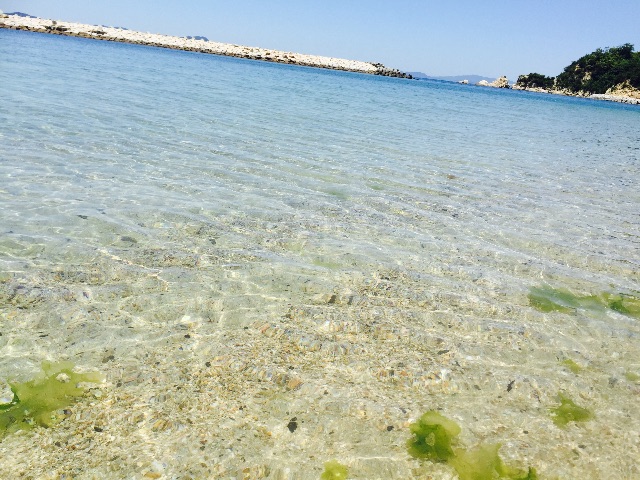 f:id:WARPchange:20150607204758j:image f:id:WARPchange:20150607204758j:image