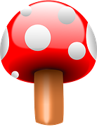 f:id:WEST81:20150728220006p:plain