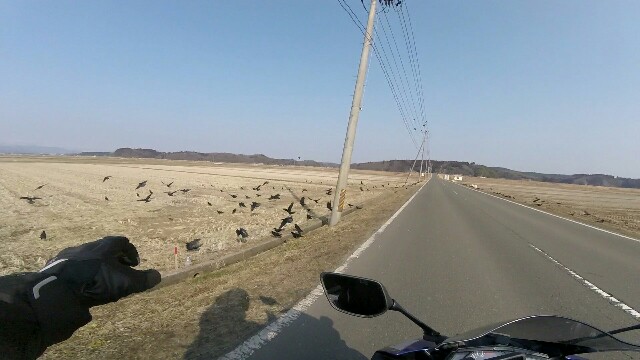 f:id:WeekEndRider:20160309202722j:image f:id:WeekEndRider:20160309202722j:image
