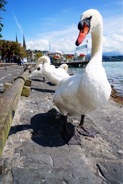 f:id:WorldTravelDiary:20140902072528j:plain f:id:WorldTravelDiary:20140902072528j:plain