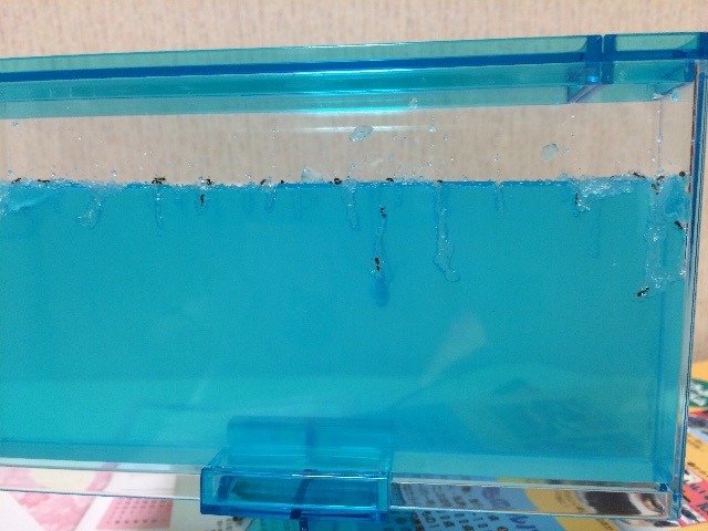 f:id:Y-chang:20150608205031j:image f:id:Y-chang:20150608205031j:image
