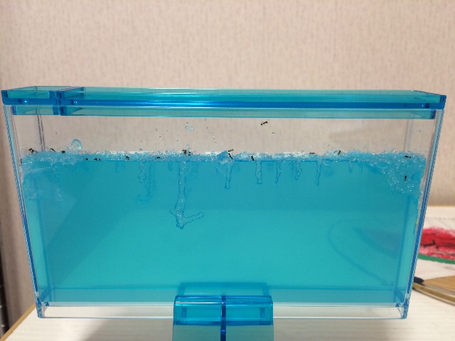 f:id:Y-chang:20150610062052j:image f:id:Y-chang:20150610062052j:image