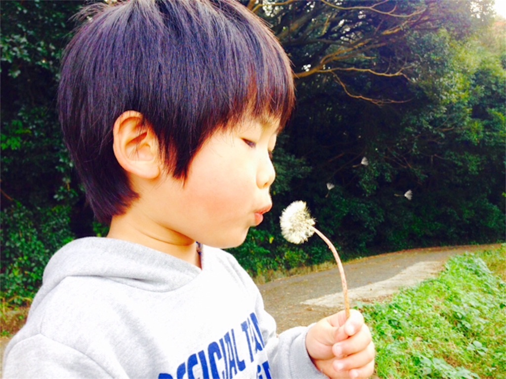 f:id:YK-10:20151213174253j:image f:id:YK-10:20151213174253j:image