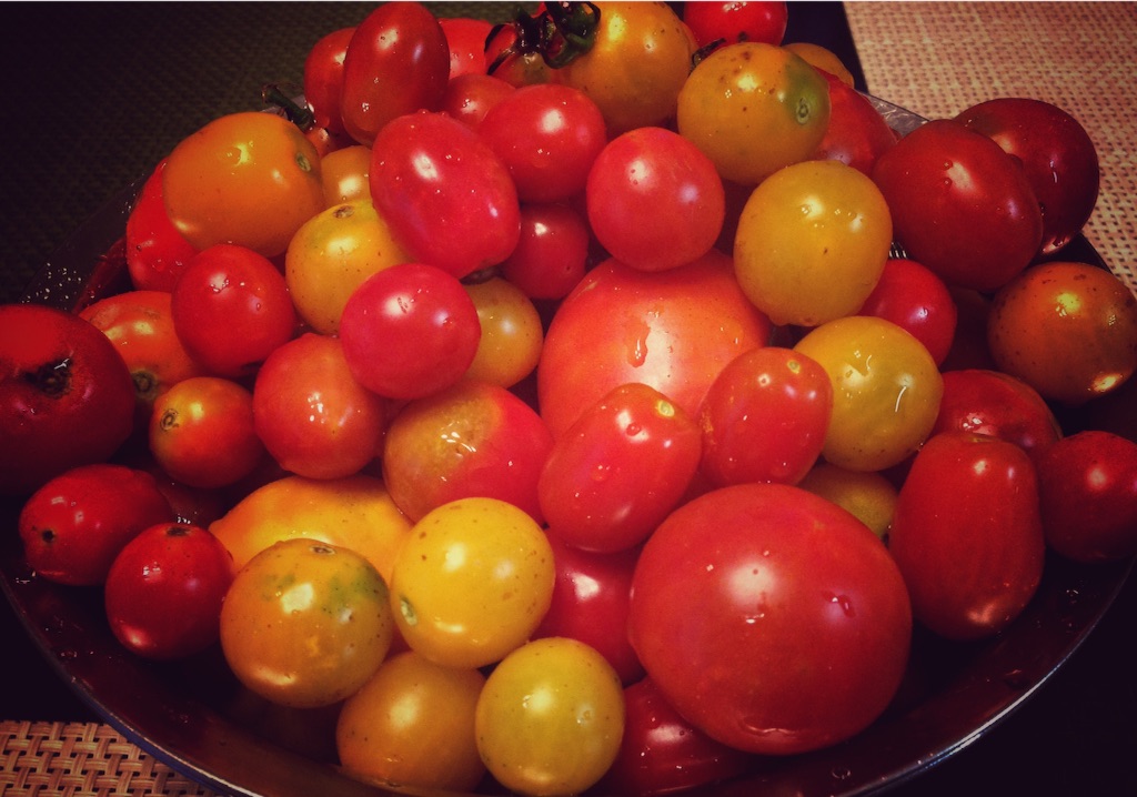 f:id:YSTiseki:20150729074146j:image f:id:YSTiseki:20150729074146j:image