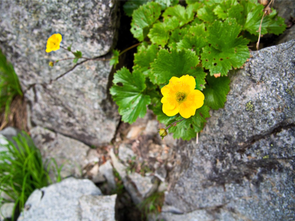 f:id:YSTiseki:20150814140141j:image f:id:YSTiseki:20150814140141j:image