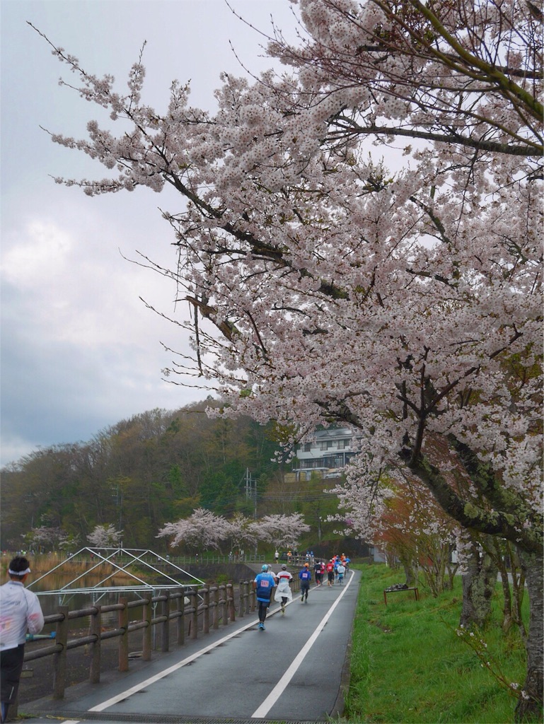 f:id:YSTiseki:20160428210508j:image f:id:YSTiseki:20160428210508j:image