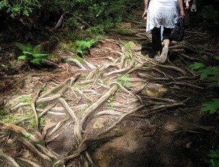 f:id:Yadayoo:20090812133426j:image