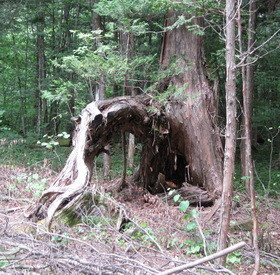 f:id:Yadayoo:20090812135441j:image