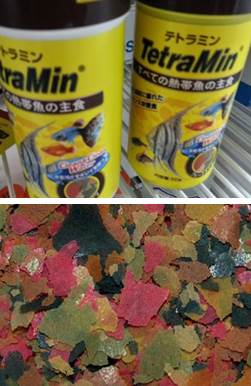 f:id:YamamotoLab:20141226094222j:plain