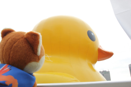 f:id:Yeshi:20141219110820j:plain f:id:Yeshi:20141219110820j:plain