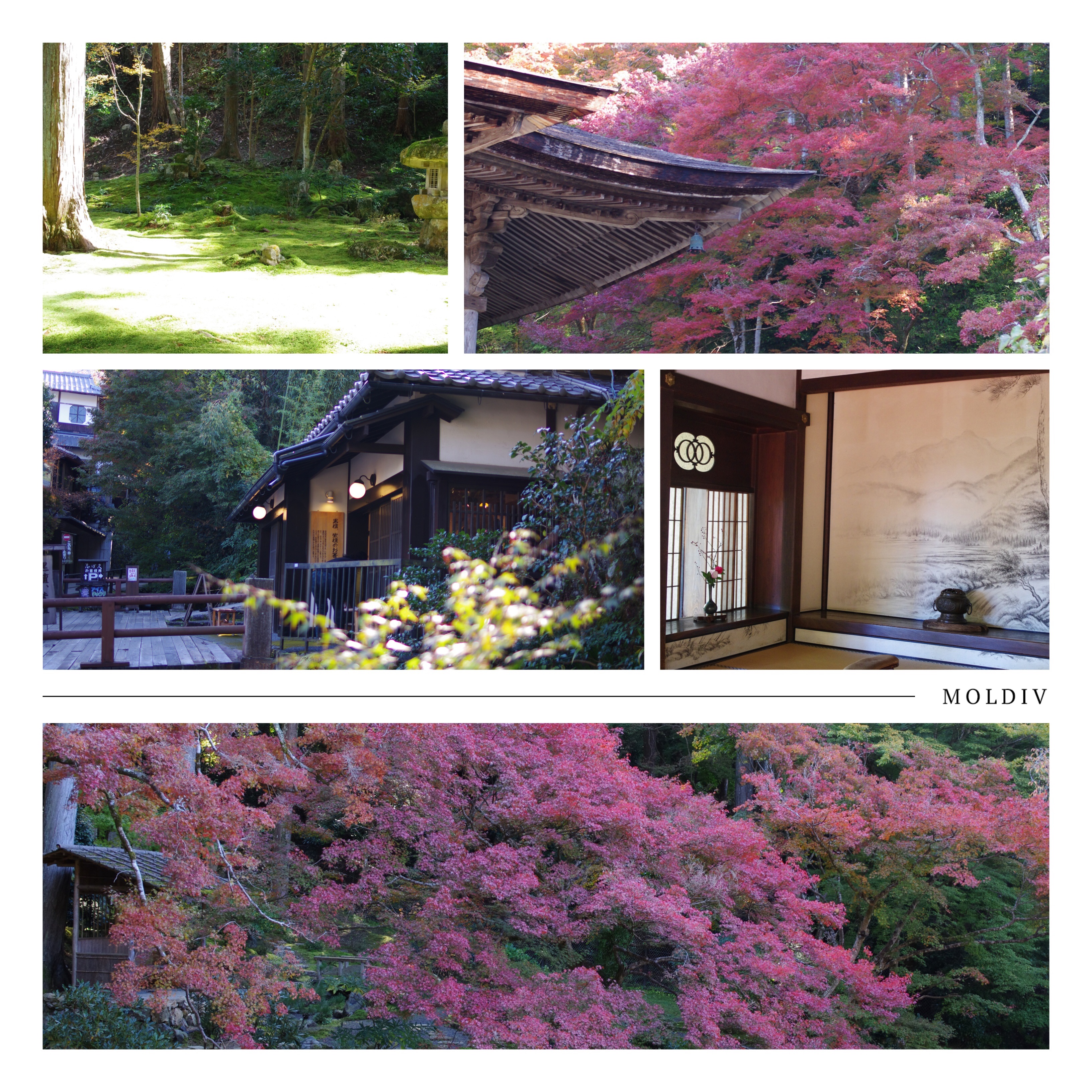 f:id:Yotaro:20151107155220j:image f:id:Yotaro:20151107155220j:image