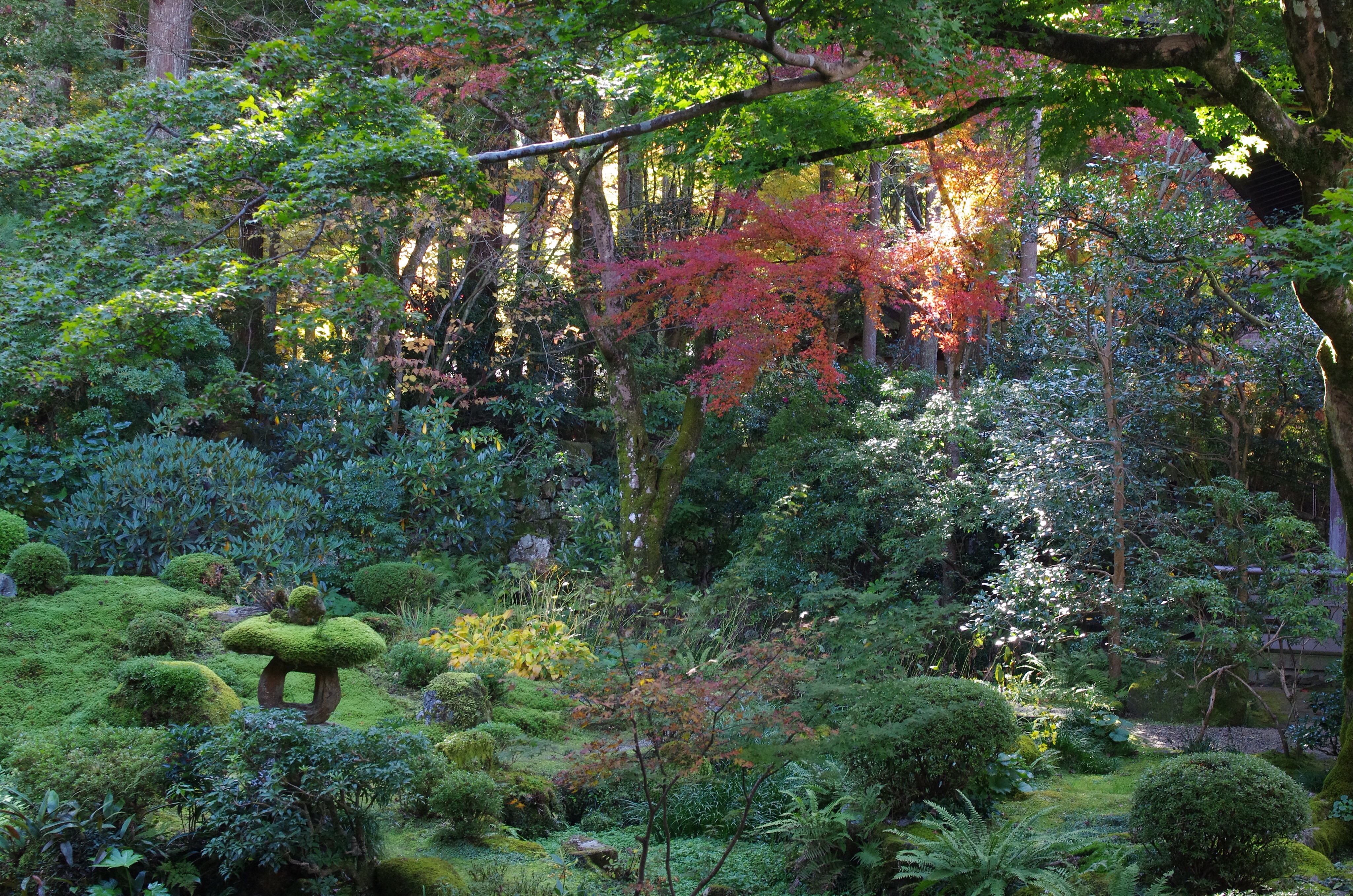 f:id:Yotaro:20151107155243j:image f:id:Yotaro:20151107155243j:image