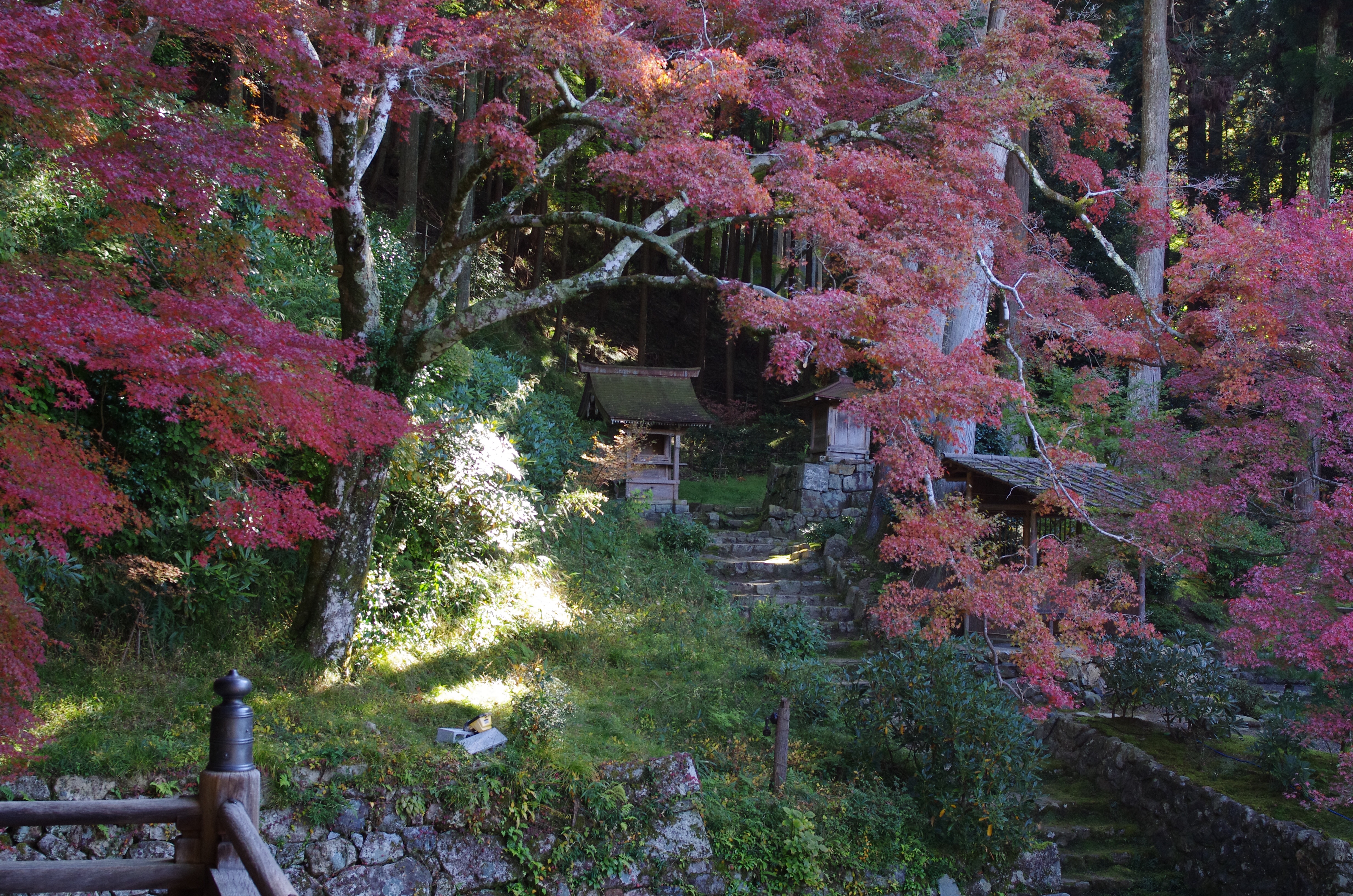 f:id:Yotaro:20151107155303j:image f:id:Yotaro:20151107155303j:image