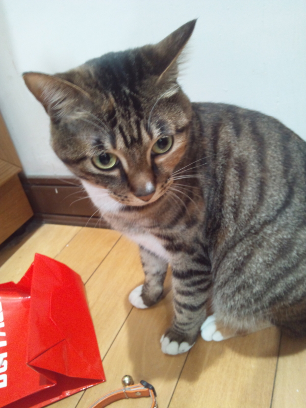 f:id:Yumihiko0271:20150320180612j:plain f:id:Yumihiko0271:20150320180612j:plain