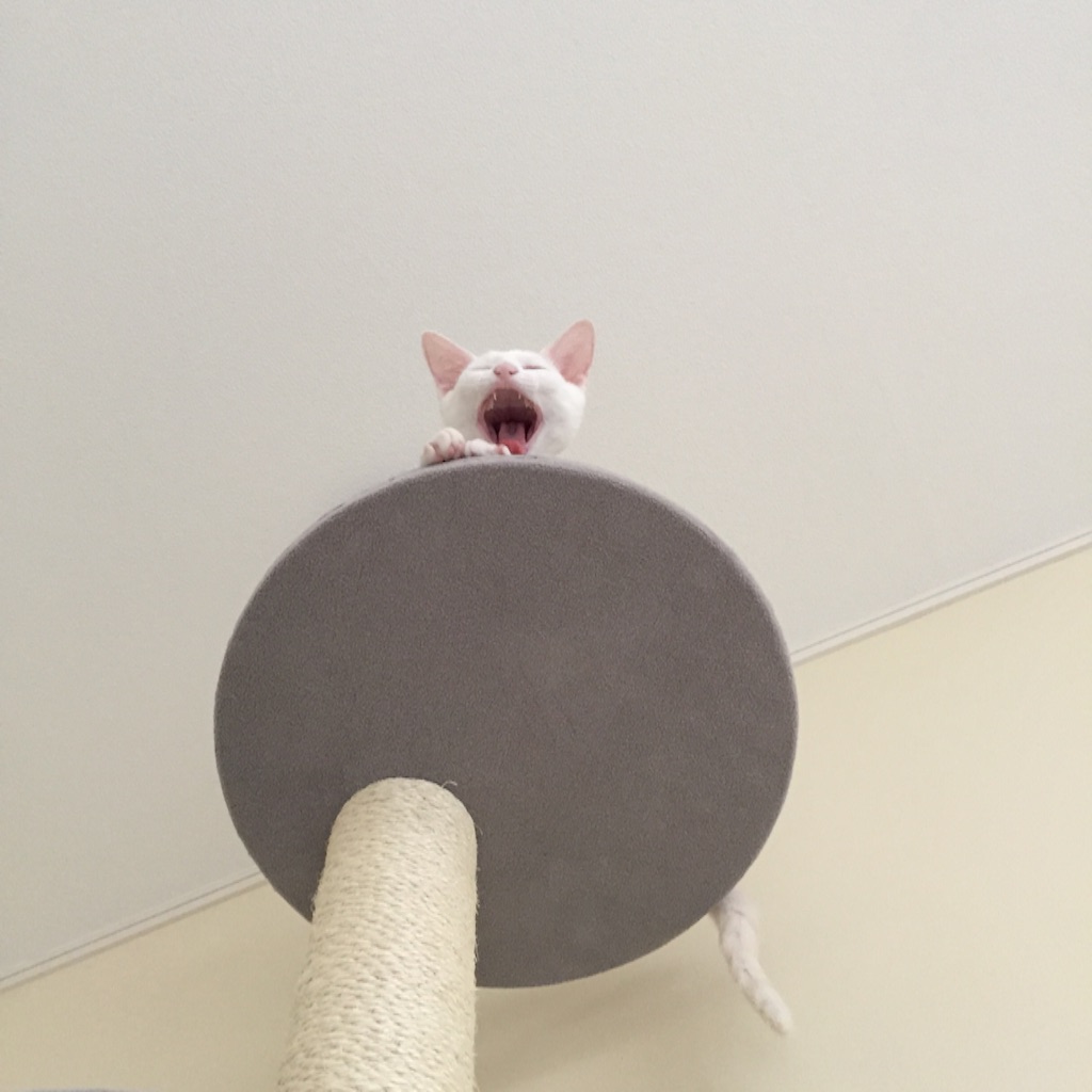 f:id:ZAHA:20160722105623j:image