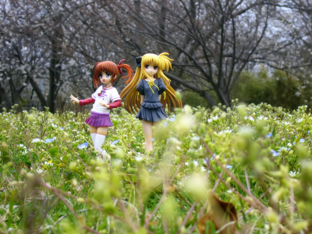 蒼月彩記・新装版 ―Gallery Side― - 高町なのは&フェイト・テスタロッサ カットNo.003 蒼月彩記・新装版 ―Gallery Side― - 高町なのは&フェイト・テスタロッサ カットNo.003