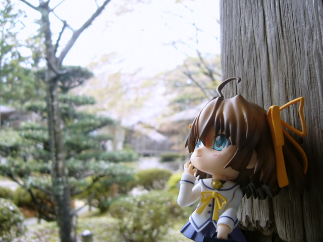 蒼月彩記・新装版 ―Gallery Side― - ねんどろいど 朝倉音夢 カットNo.007 蒼月彩記・新装版 ―Gallery Side― - ねんどろいど 朝倉音夢 カットNo.007