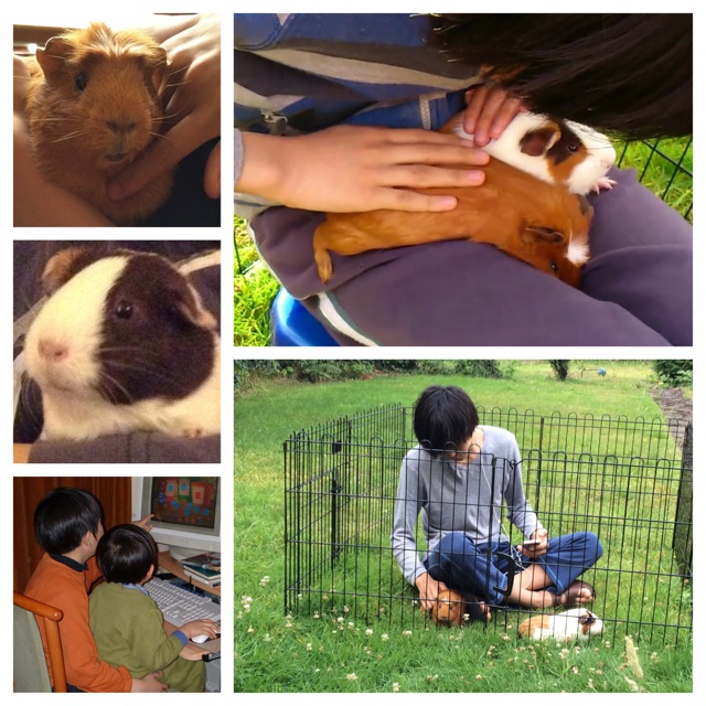 f:id:Zetta:20140818221112j:plain f:id:Zetta:20140818221112j:plain