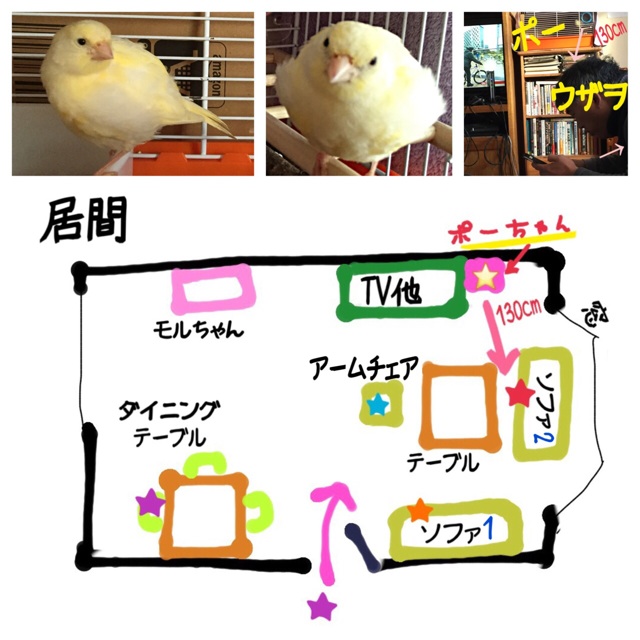 f:id:Zetta:20141108045823j:plain f:id:Zetta:20141108045823j:plain