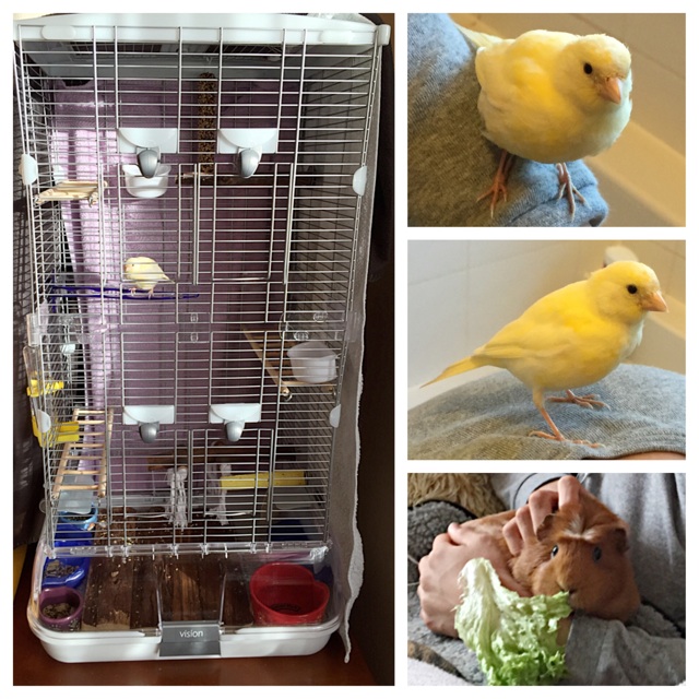 f:id:Zetta:20141118003242j:plain f:id:Zetta:20141118003242j:plain