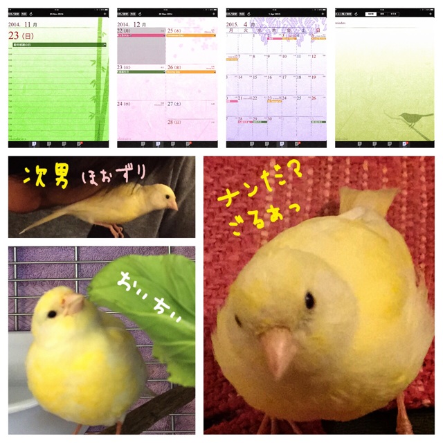 f:id:Zetta:20141121212206j:plain f:id:Zetta:20141121212206j:plain
