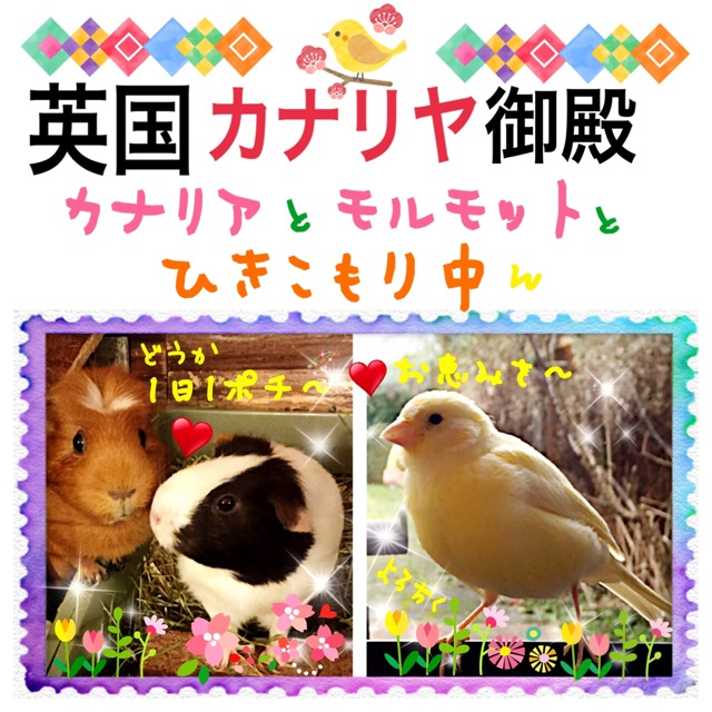 f:id:Zetta:20141228051147j:plain f:id:Zetta:20141228051147j:plain