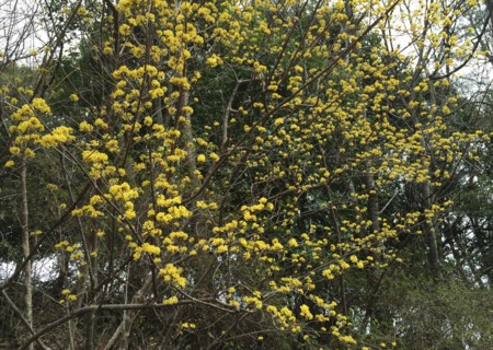 f:id:a-doll:20150321105032j:image