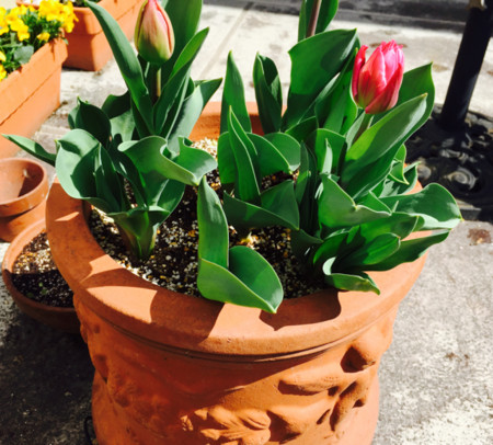 f:id:a-doll:20150325193547j:image:w320