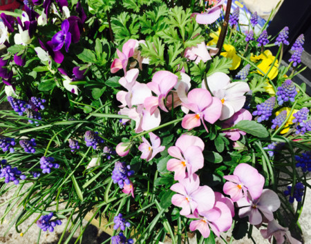 f:id:a-doll:20150325193620j:image:w320