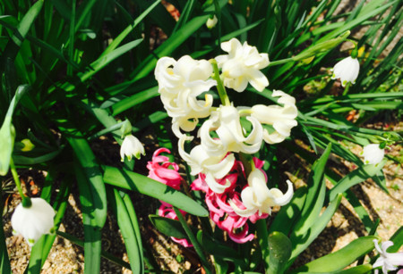 f:id:a-doll:20150330213211j:image:w320