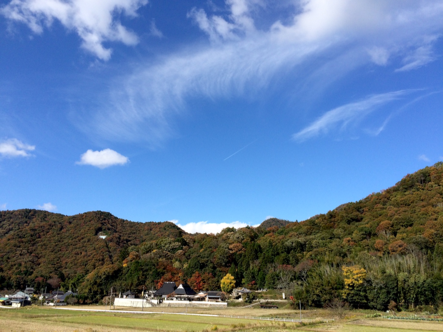 f:id:a-ishida:20151112125923j:image f:id:a-ishida:20151112125923j:image