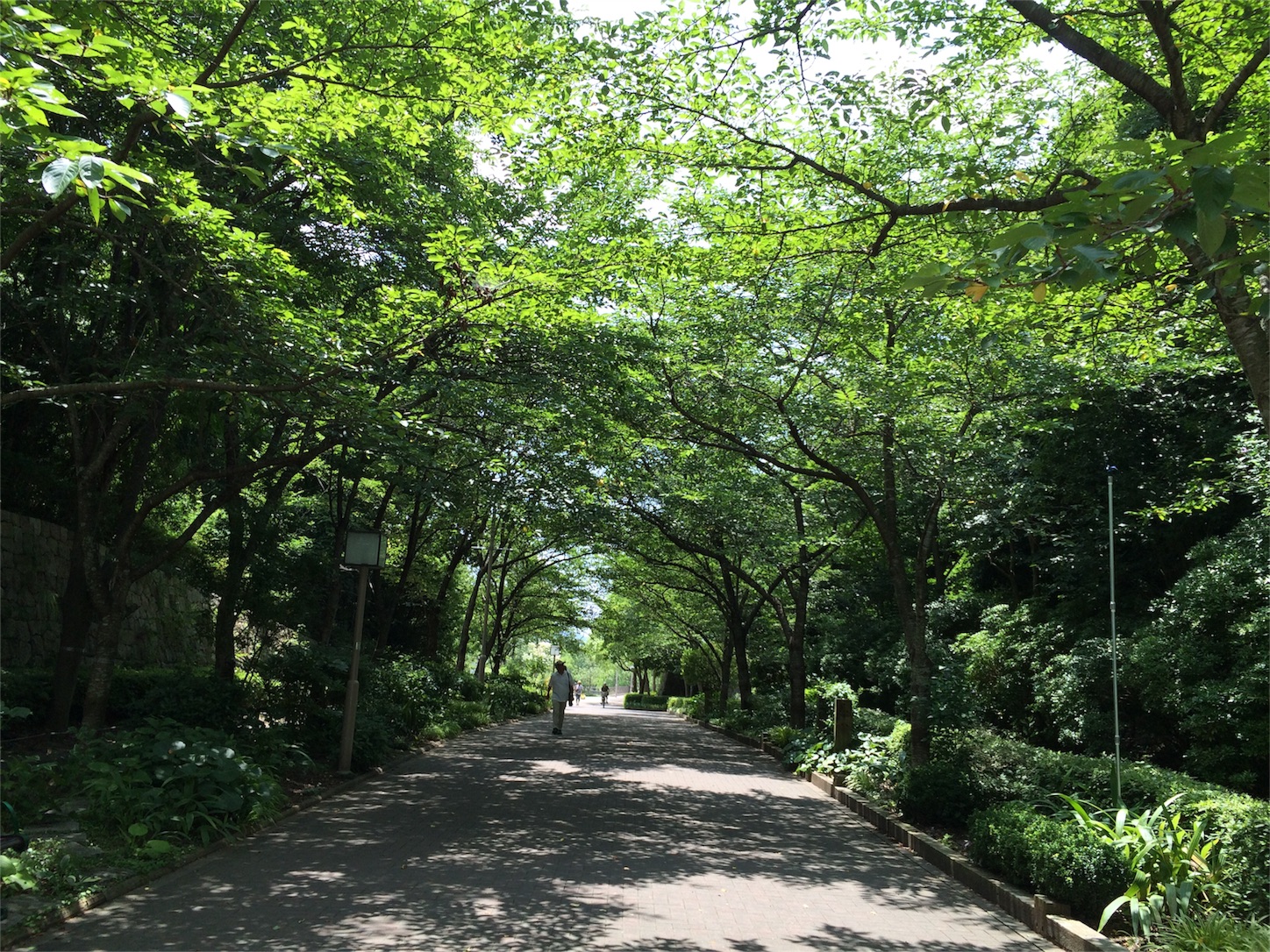 f:id:a-ishida:20160720231917j:image f:id:a-ishida:20160720231917j:image