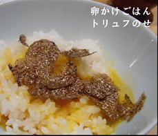 f:id:a-kuma3:20111117002357j:image