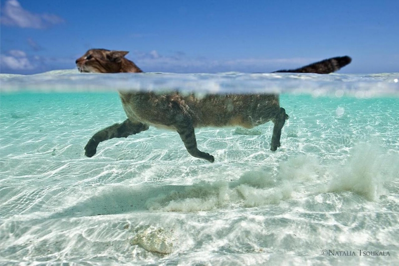 ȋȑqZ 238rڔLKCWuX [f]ڋ֎~]©bbspink.com	->摜>3749 