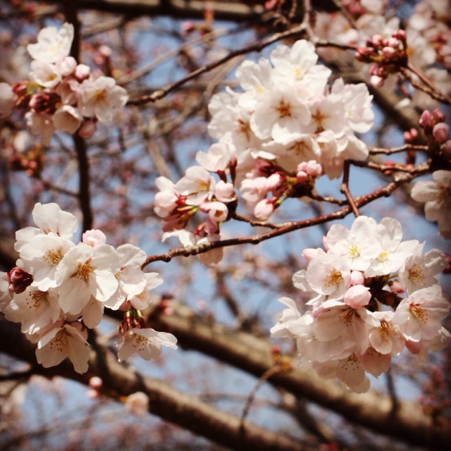 f:id:a10o:20140329125711j:plain f:id:a10o:20140329125711j:plain