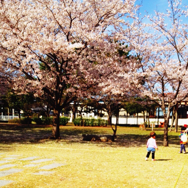 f:id:a10o:20140402233653j:plain f:id:a10o:20140402233653j:plain