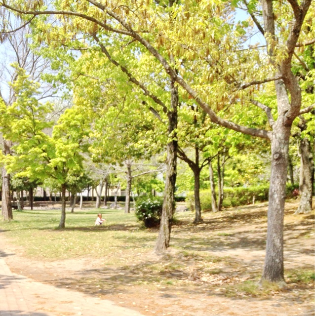 f:id:a10o:20140424125958j:plain f:id:a10o:20140424125958j:plain