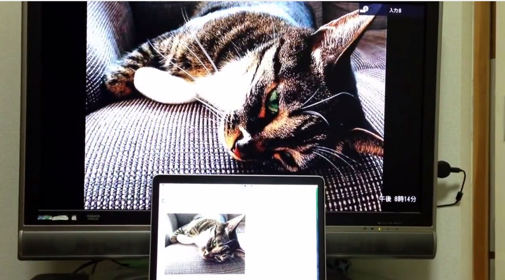 f:id:a666666:20140531204240p:plain f:id:a666666:20140531204240p:plain