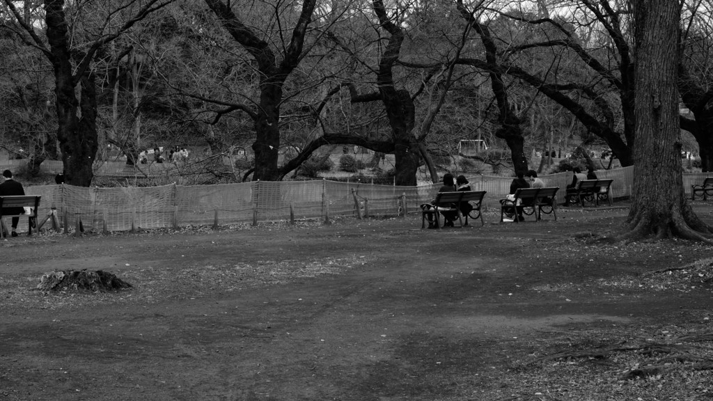 f:id:a666666:20160213140713j:plain