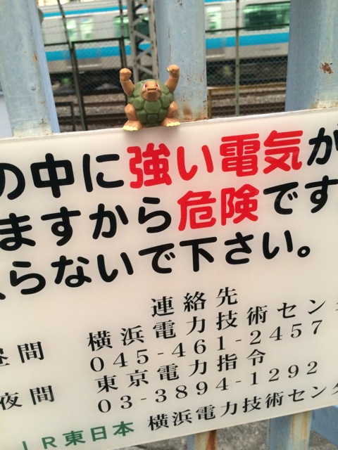 f:id:a9m:20140713223305j:plain f:id:a9m:20140713223305j:plain