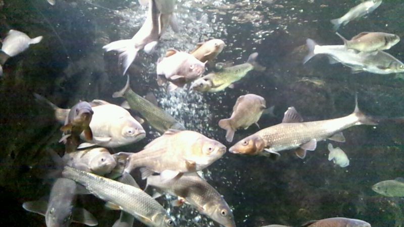 f:id:aSaym:20120127212357j:image:w240 f:id:aSaym:20120127212357j:image:w240