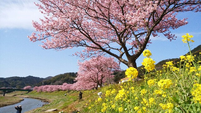 f:id:aaayaaam:20160215164303j:image f:id:aaayaaam:20160215164303j:image