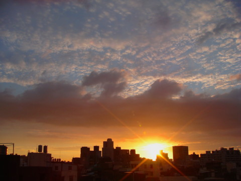 f:id:aadbaron1:20090627224557j:image f:id:aadbaron1:20090627224557j:image