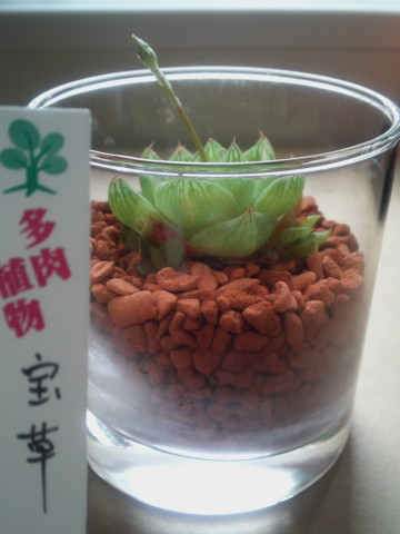 f:id:aadbaron1:20110424063016j:image:w360 f:id:aadbaron1:20110424063016j:image:w360
