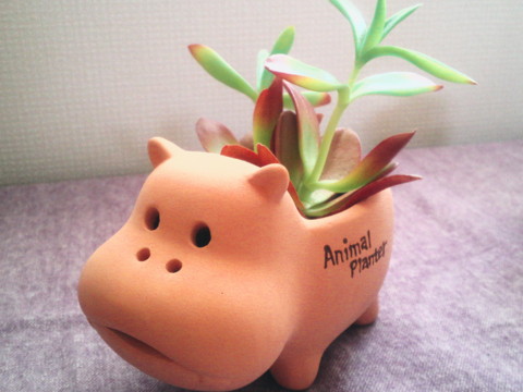 f:id:aadbaron1:20110424063019j:image:w480 f:id:aadbaron1:20110424063019j:image:w480