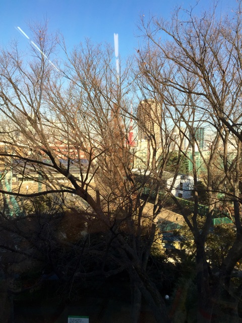 f:id:aaddgj:20141224221628j:plain f:id:aaddgj:20141224221628j:plain