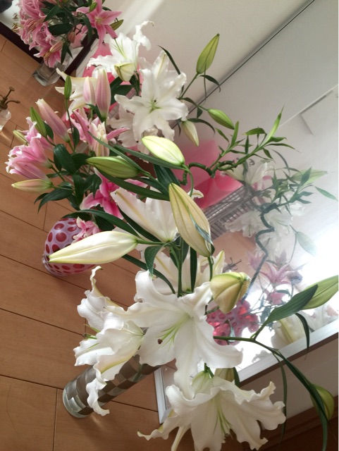 f:id:aaddgj:20150101100807j:plain f:id:aaddgj:20150101100807j:plain
