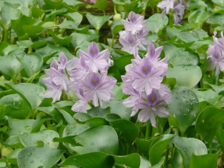 f:id:aami:20080901050849j:image f:id:aami:20080901050849j:image