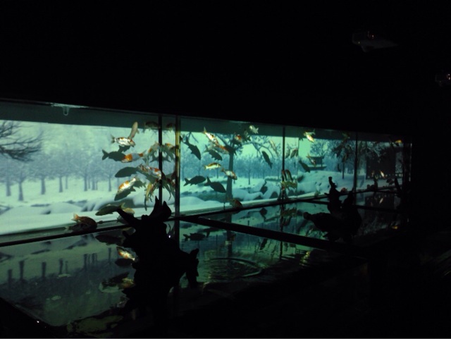 f:id:abrasivetj:20140213211904j:plain f:id:abrasivetj:20140213211904j:plain